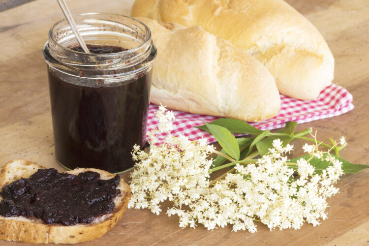 Elderberry Jelly Recipe